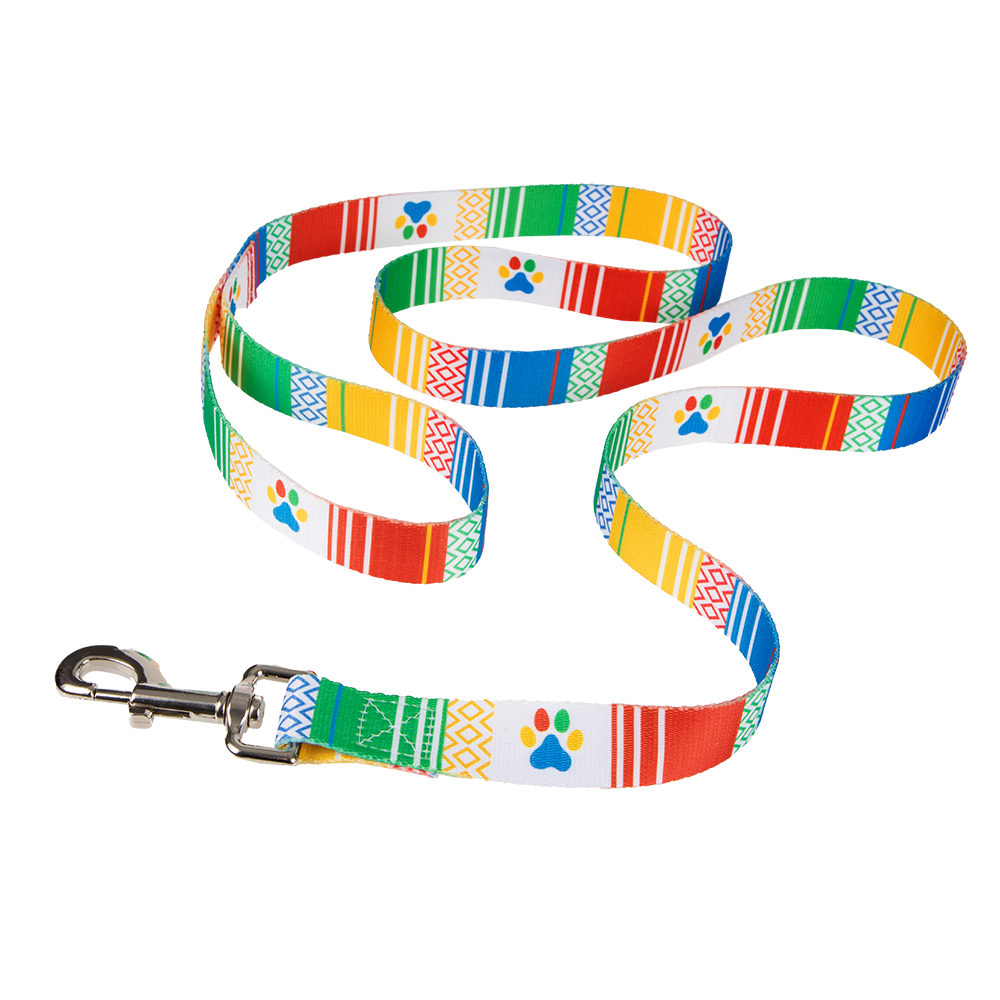 Doogler Dog Leash