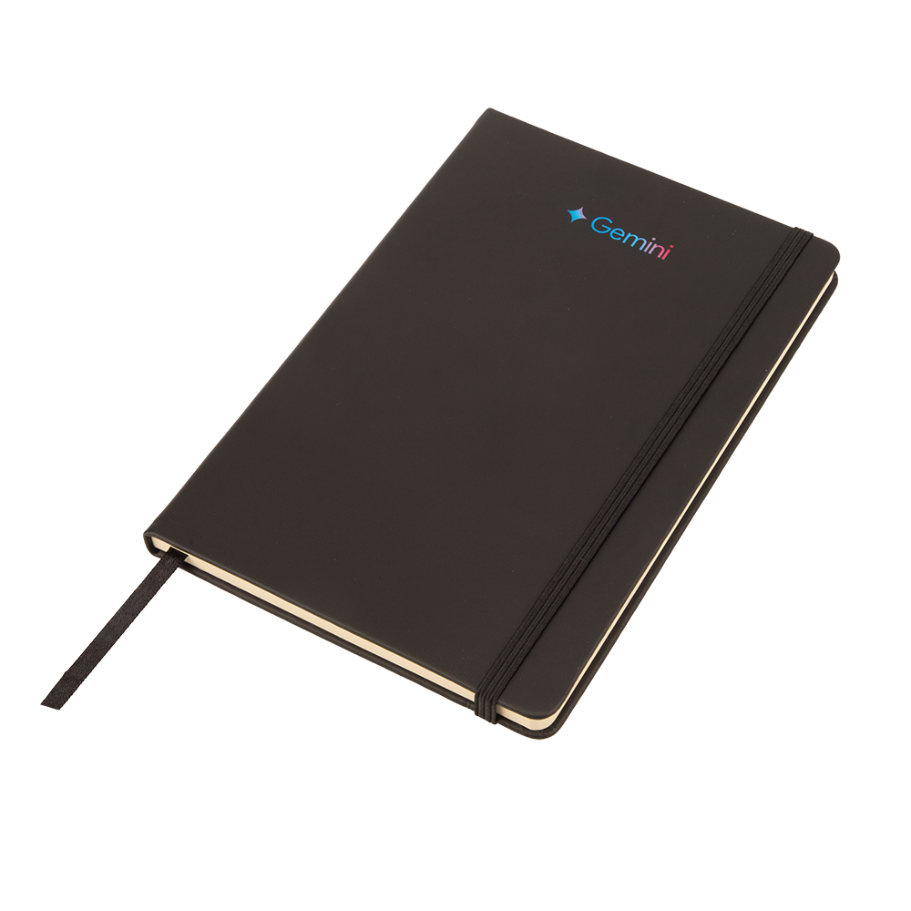 Gemini Notebook